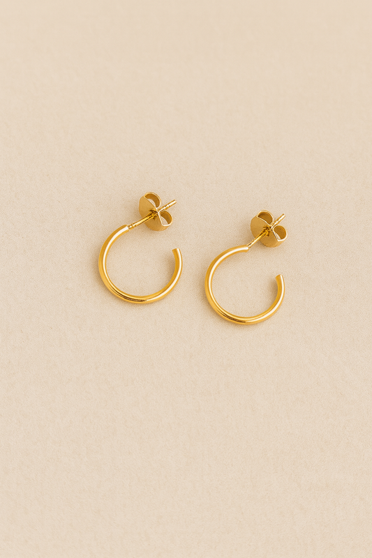 Brinco de Argolas pequenas